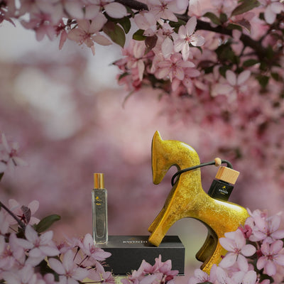 The Power of Scents: Fragrance and Memory