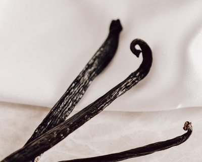 Vanilla: A Fragrant Journey Through Time and Scent